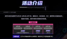 战哥老粉爆料视频大全,揭秘幕后故事与精彩瞬间