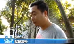 顾城前妻爆料视频播放,揭秘诗人背后的真相